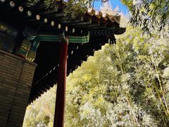 -潭柘寺景区