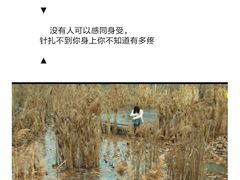 -芳芳餐厅(白沙路店)