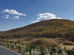 -塞罕坝国家级自然保护区