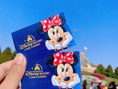 -上海迪士尼度假区