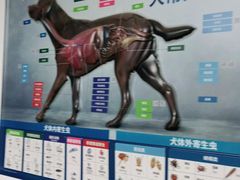 -宠颐生宠物医院外科·内科·皮肤科·影像科(石龙店)