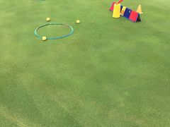 -金鸡湖高尔夫会员专属俱乐部