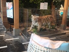 -弘安丽水温泉酒店