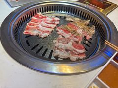 -杨记齐齐哈尔烤肉(总店)