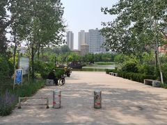 -绿岛公园(滨海新区)
