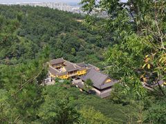 -树山生态村