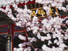 -颐和园
