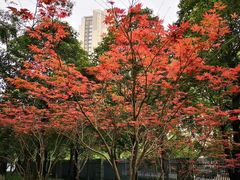 -仁恒滨河湾