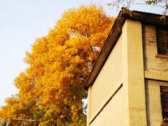 -中央戏剧学院(东城校区)