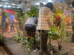 -华威约饭街