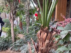 -南宫五洲植物乐园