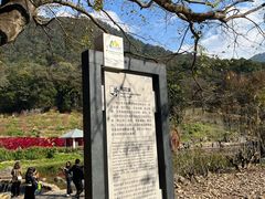 -广州市石门国家森林公园