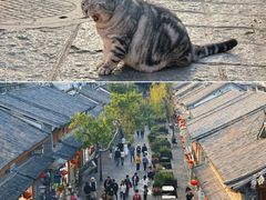 -大理床单厂艺术区