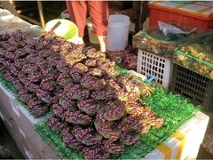 -树木岭集贸市场(劳动东路)