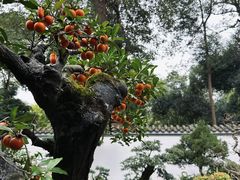 -成都杜甫草堂博物馆
