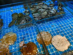 -ONE FULL 古董港式海鲜火锅