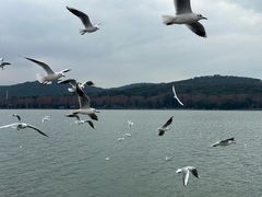 -水上明月·湖景餐厅