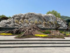 -北京西山国家森林公园