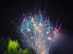 -荷兰花海