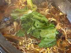 黄辣丁-都江堰石锅鱼