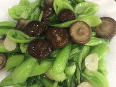 -林之六八·6886大连老菜馆