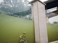 景点-眉山湿地公园(东坡区)