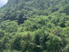 -神龙峡风景区