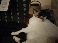 -江湖边·小生活