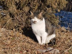 -北京西山国家森林公园