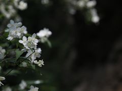 -九龙潭景区