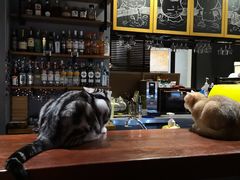 -咖法森林·咖啡  酒吧(天河店)