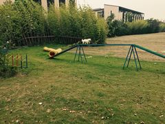 -上海崇明金茂凯悦酒店