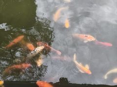 -上海大学(宝山校区)