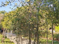 -人民公园(罗湖区)