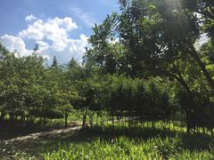 -贵阳市花溪国家城市湿地公园