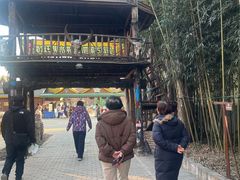 -呀路古热带植物园