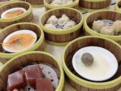 -肥佬夜茶(早茶·西乡店)