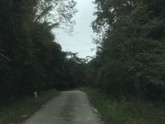 -海南热带雨林国家公园吊罗山景区