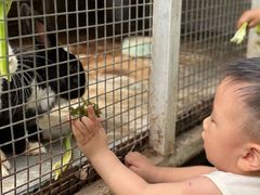 -乐融婴幼儿成长中心(四季青校区)