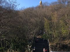 -上海佘山国家森林公园西佘山园