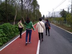 -上海长兴岛郊野公园