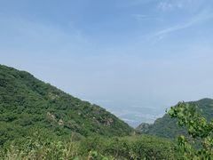 -阳台山自然风景区