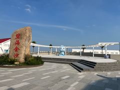 -碧海金沙