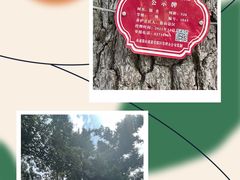 -狼山风景名胜区