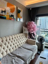 -哈颜科技轻美·