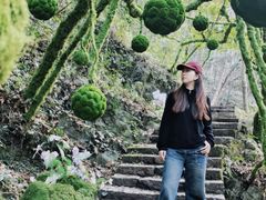 -龙湾潭国家森林公园