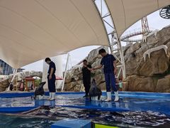 -芜湖新华联大白鲸海洋公园