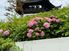 -和平公园