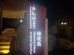 -三亚红色娘子军演艺公园景区