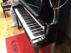 -柏斯琴行(汾阳店)